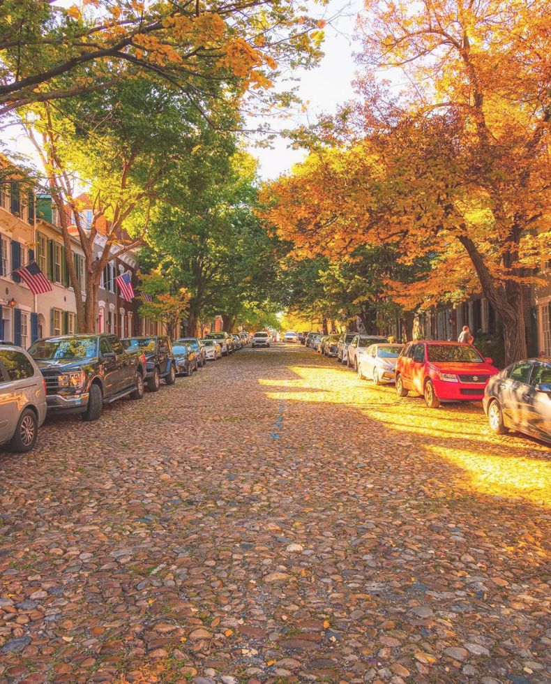 Fall in Alexandria